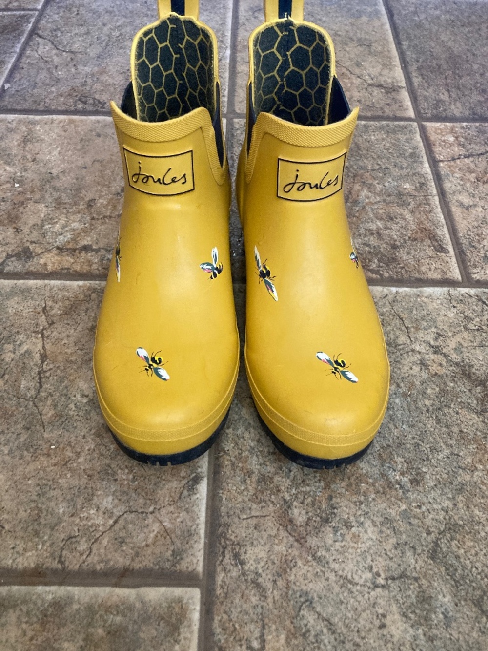 WELLIBOB